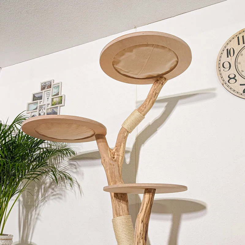 Naturkratzbaum 4271 Kratzbaum Natur Holz Design 173 cm hoch Katzenbaum