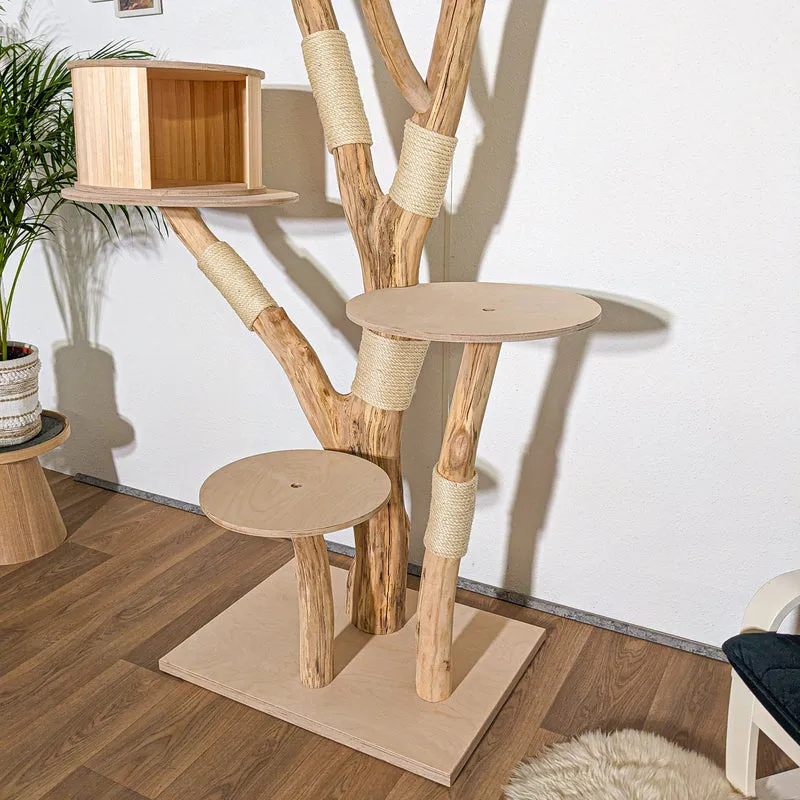 Naturkratzbaum 4270 Kratzbaum Natur Holz Design 210 cm hoch Katzenbaum