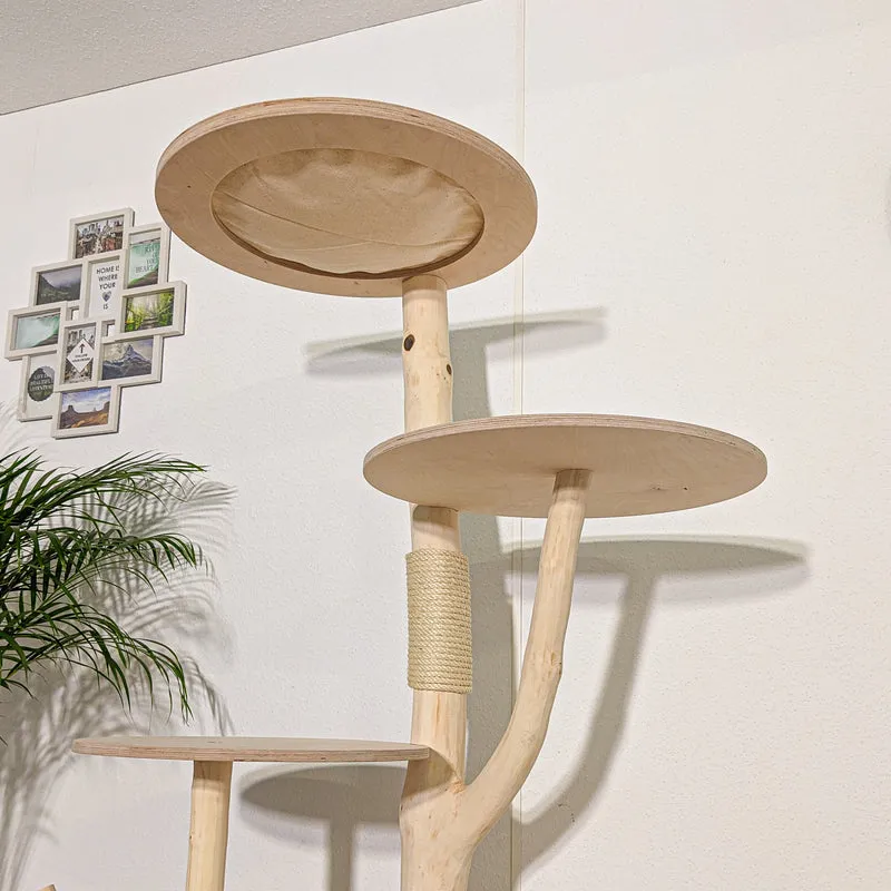 Naturkratzbaum 4268 Kratzbaum Natur Holz Design 175 cm hoch Katzenbaum