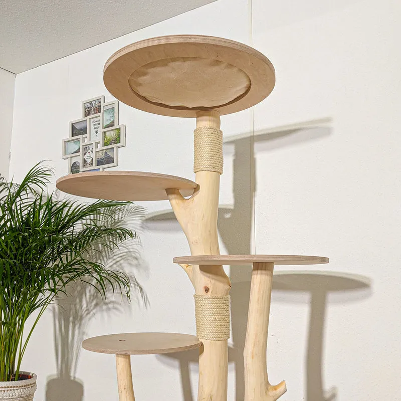 RESERVIERT - Naturkratzbaum 4264 Kratzbaum Natur Holz Design 177 cm hoch Katzenbaum