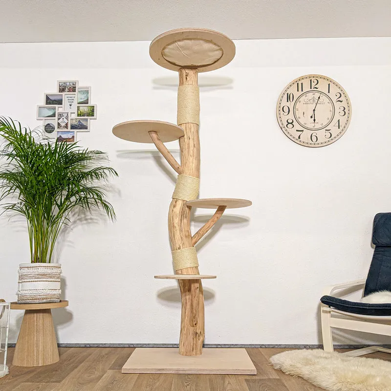 Naturkratzbaum 4262 Kratzbaum Natur Holz Design 205 cm hoch Katzenbaum