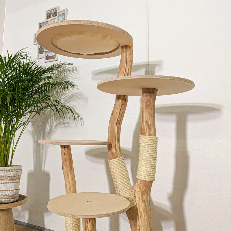 Naturkratzbaum 4260 Kratzbaum Natur Holz Design 145 cm hoch Katzenbaum