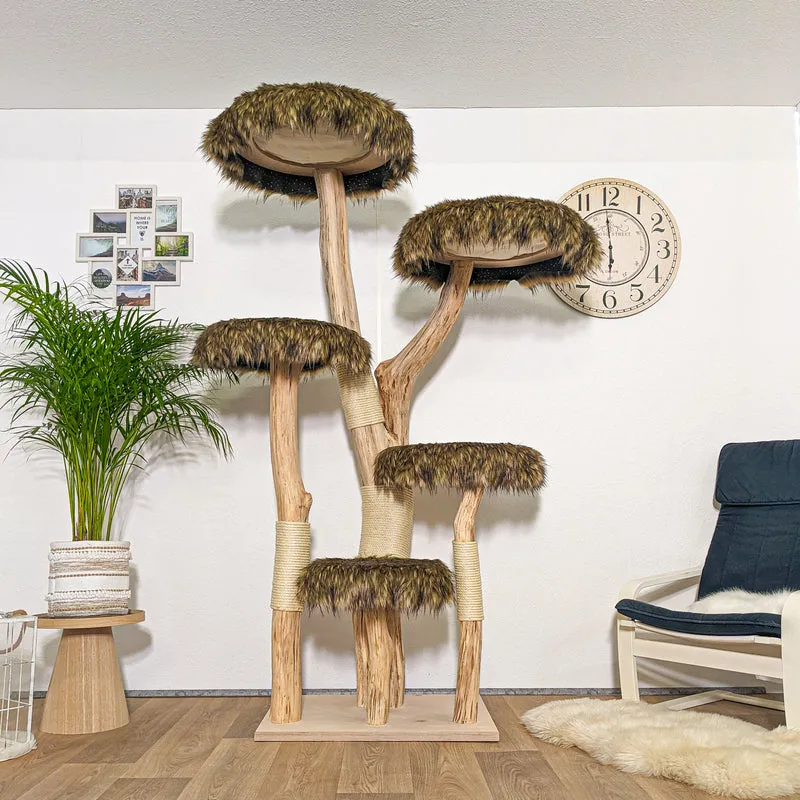 RESERVIERT + ÄNDERUNG - Naturkratzbaum 4257 Kratzbaum Natur Holz Design 200 cm hoch Katzenbaum