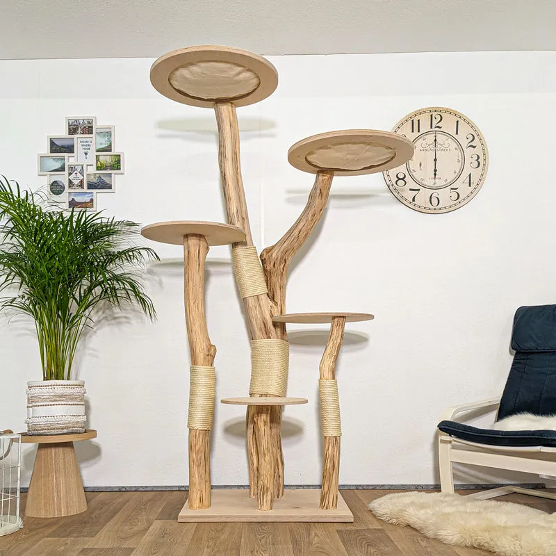 RESERVIERT + ÄNDERUNG - Naturkratzbaum 4257 Kratzbaum Natur Holz Design 200 cm hoch Katzenbaum