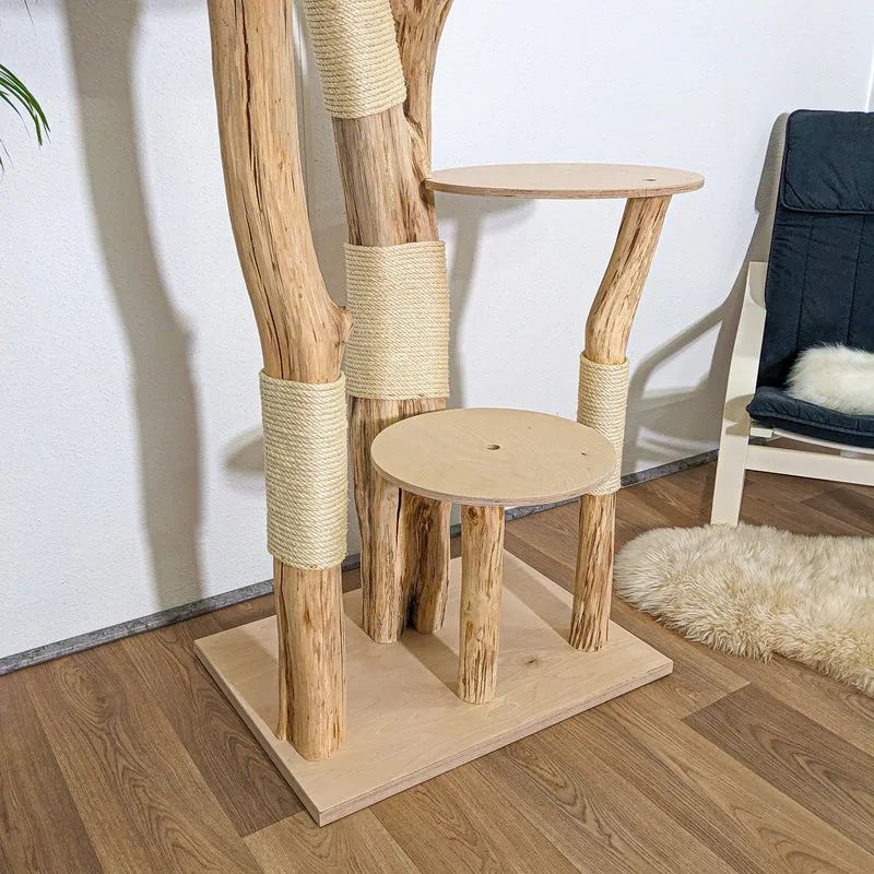 RESERVIERT + ÄNDERUNG - Naturkratzbaum 4257 Kratzbaum Natur Holz Design 200 cm hoch Katzenbaum