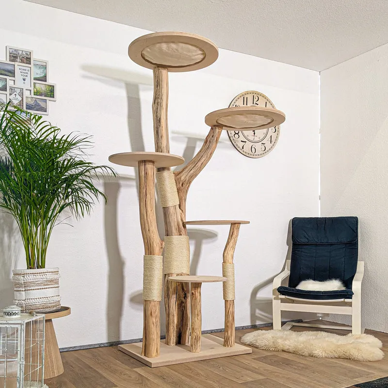 RESERVIERT + ÄNDERUNG - Naturkratzbaum 4257 Kratzbaum Natur Holz Design 200 cm hoch Katzenbaum