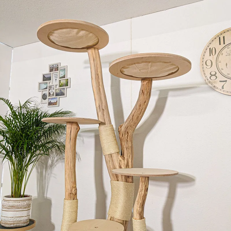 RESERVIERT + ÄNDERUNG - Naturkratzbaum 4257 Kratzbaum Natur Holz Design 200 cm hoch Katzenbaum