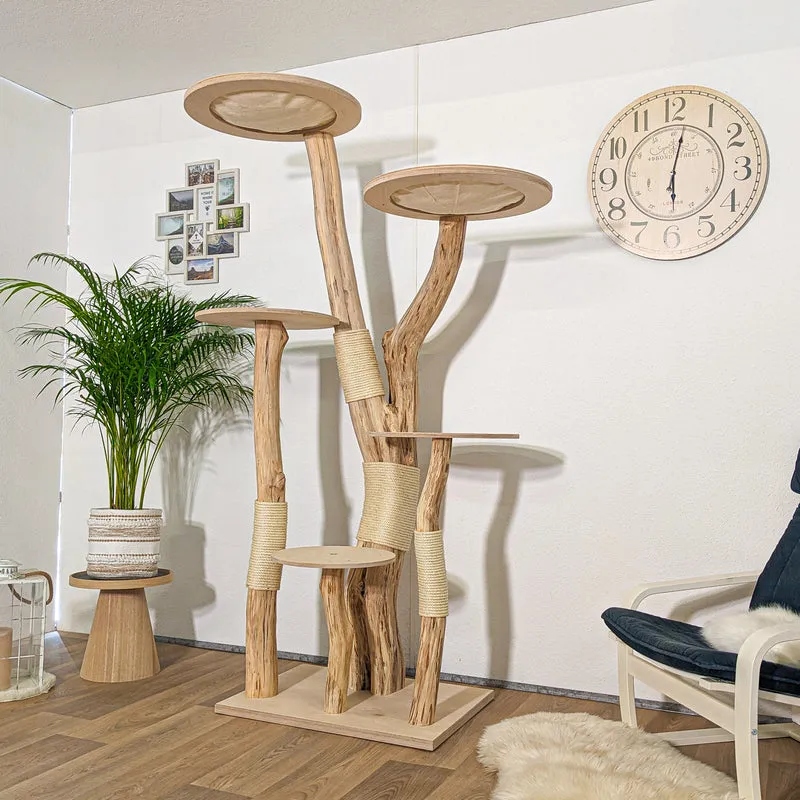 RESERVIERT + ÄNDERUNG - Naturkratzbaum 4257 Kratzbaum Natur Holz Design 200 cm hoch Katzenbaum