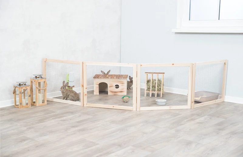 Indoor Freilaufgehege