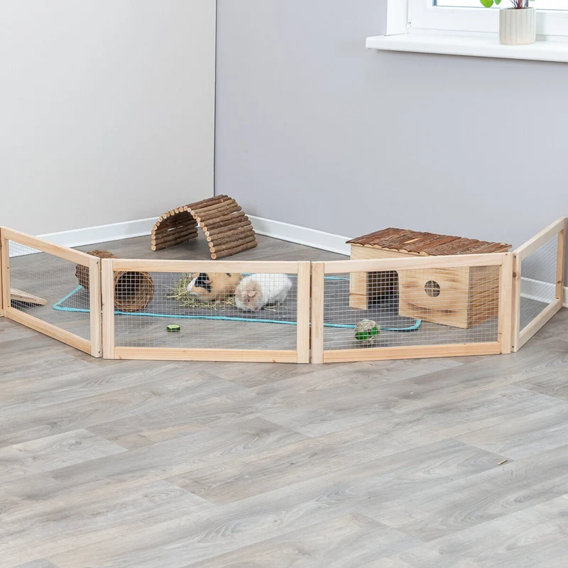 Indoor Freilaufgehege