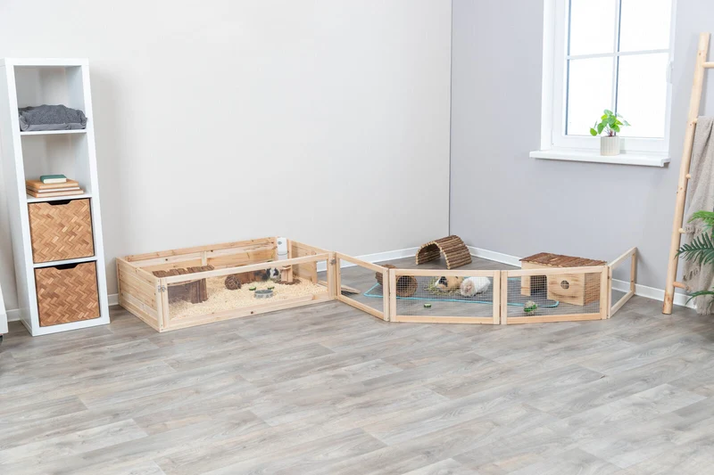 Indoor Freilaufgehege