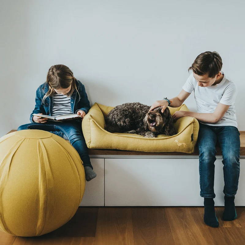 Hundesofa Eiby