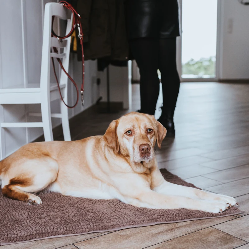Schmutzfang-Hundematte Waterloo