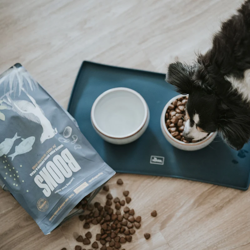 Hundefutter Boons Weißfisch (für ausgewachsene empfindliche Hunde)