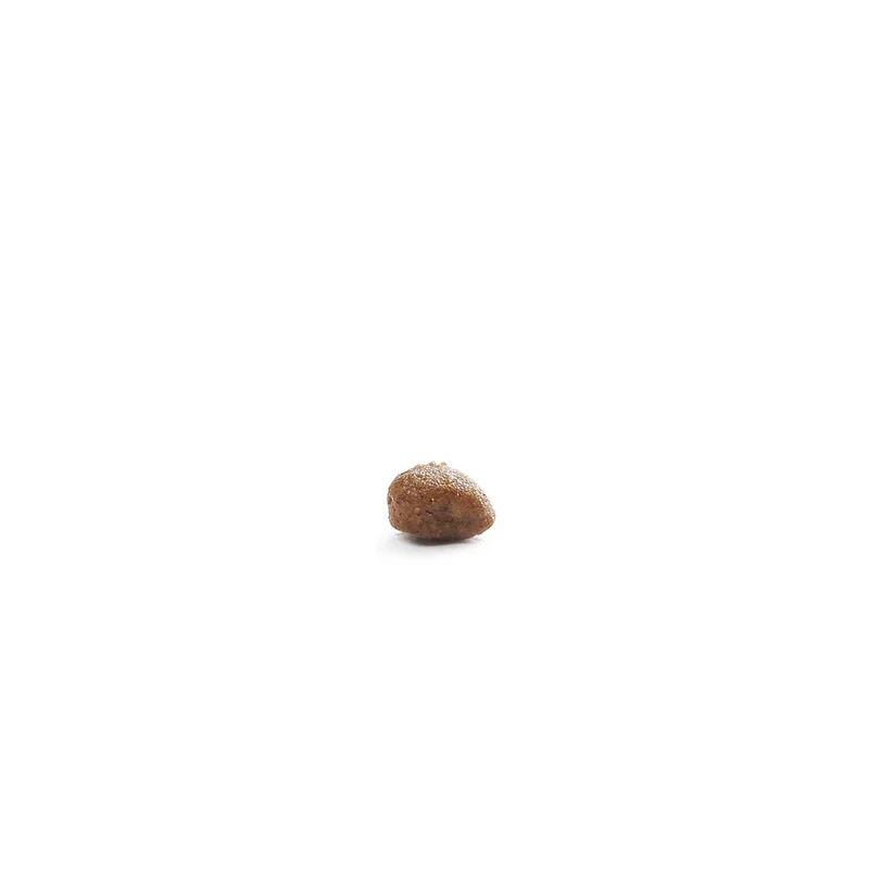 Hundefutter Boons Pute (für Welpen kleiner Rassen)