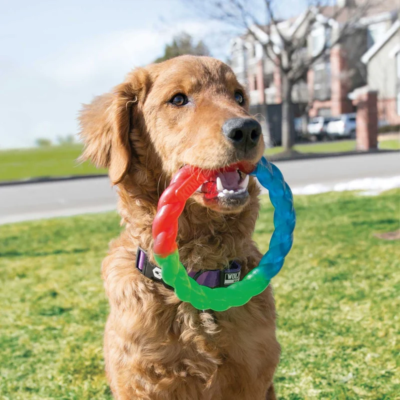 Hundespielzeug KONG® Twistz