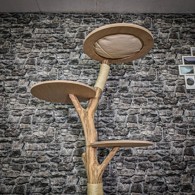 Naturkratzbaum 3794 Kratzbaum Natur Holz Design 175 cm hoch Katzenbaum
