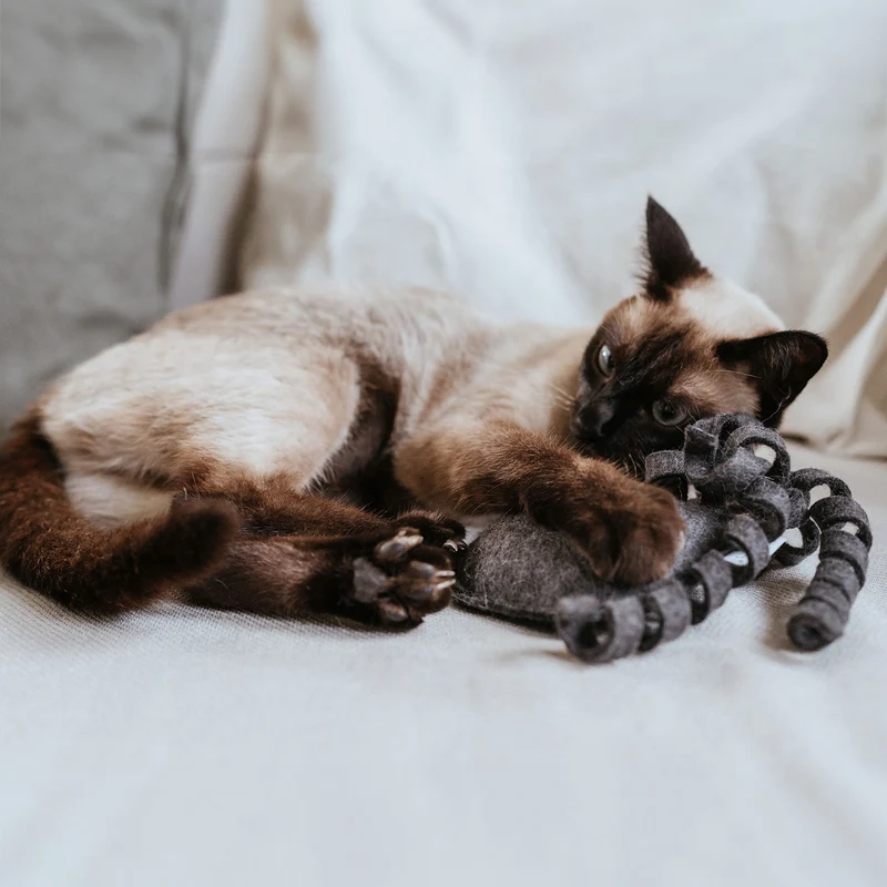 Katzenspielzeug Nelly