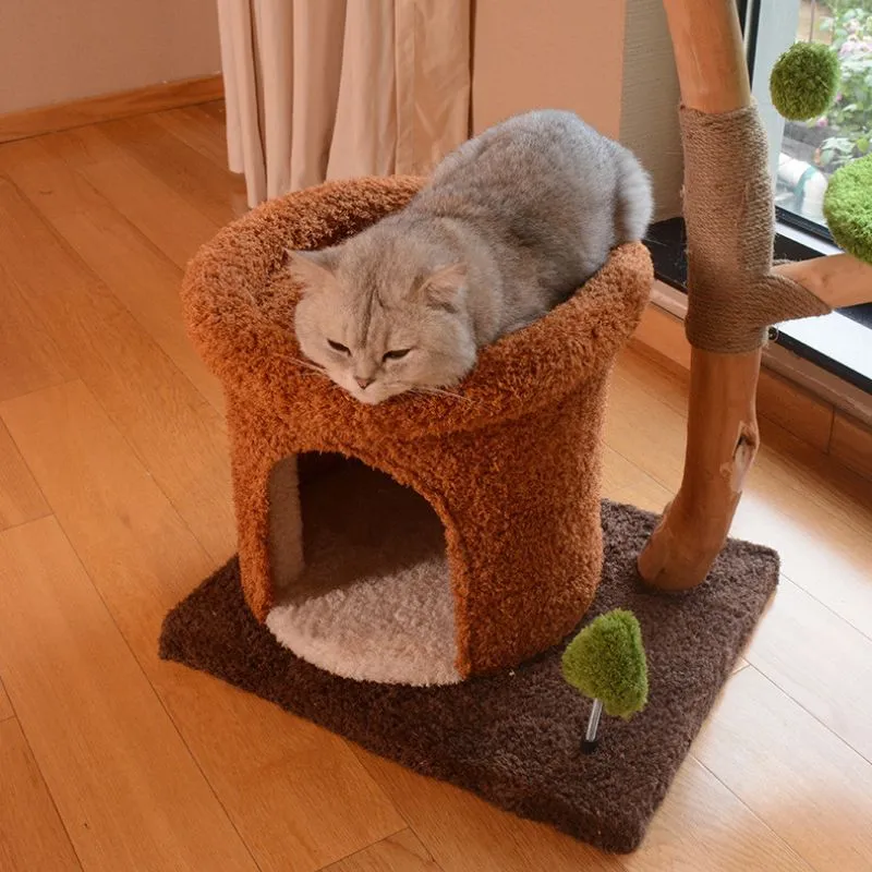 Katzenbaum Vollholz, Katzenspielzeug Baumhaus Design, Sisal Kratzbaum mit Kuschelhöhle, Kletterbaum für Kitten und Katzen