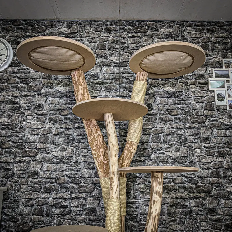 Naturkratzbaum 3752 Kratzbaum Natur Holz Design 175 cm hoch Katzenbaum