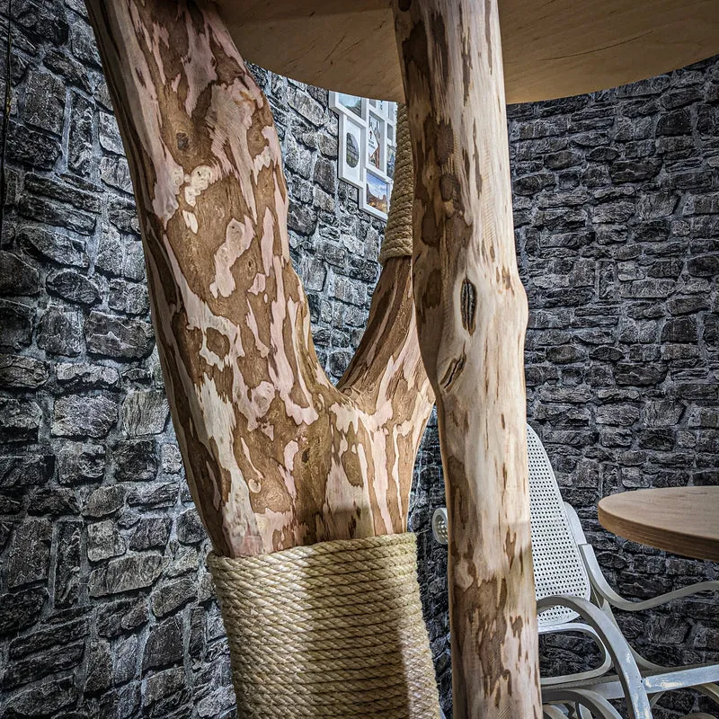 Naturkratzbaum 3752 Kratzbaum Natur Holz Design 175 cm hoch Katzenbaum