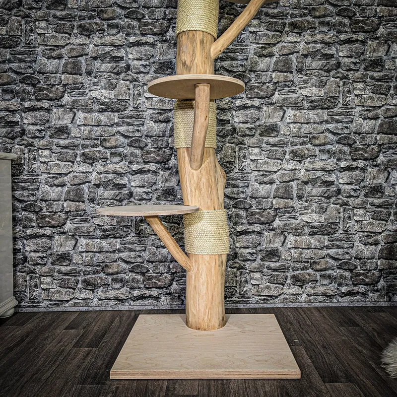 Naturkratzbaum 3738 Kratzbaum Natur Holz Design 185 cm hoch Katzenbaum