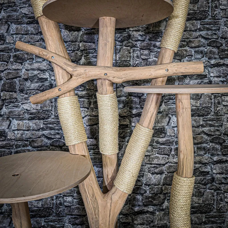 Naturkratzbaum 3734 Kratzbaum Natur Holz Design 200 cm hoch Katzenbaum