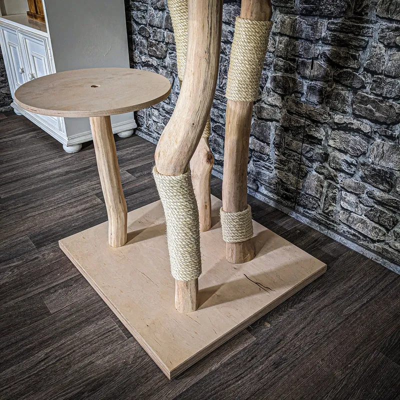 Naturkratzbaum 3733 Kratzbaum Natur Holz Design 145 cm hoch Katzenbaum