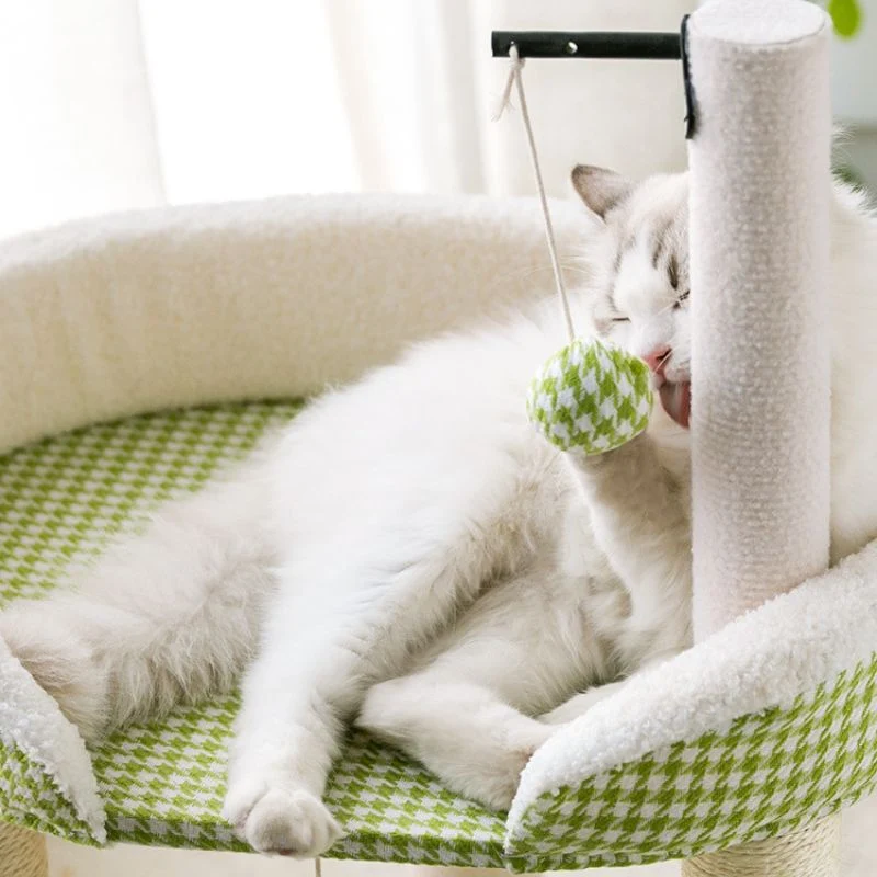 Katzen Baum, Kleine Katzenbaum, Kletterbaum mit Spielball, Hanfseil Kratzbaum, Stabil und Robust, in Hellgrün