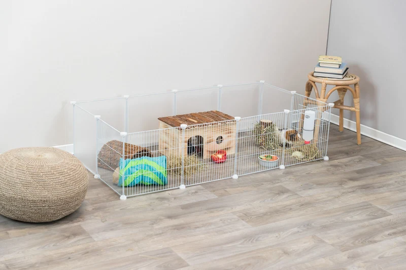 Indoor Freilaufgehege