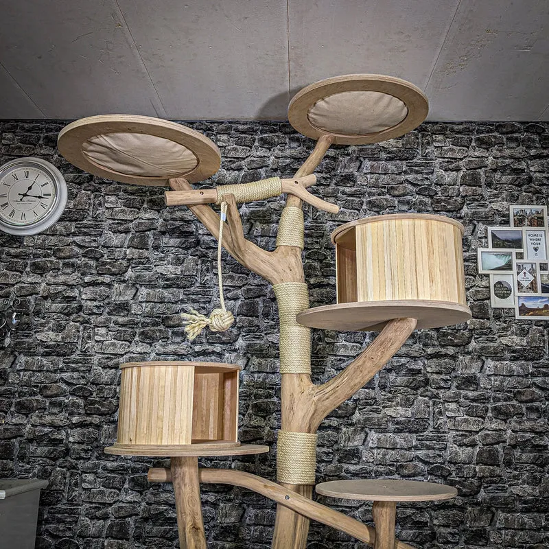 Naturkratzbaum 3710 Kratzbaum Natur Holz Design 235 cm hoch Katzenbaum