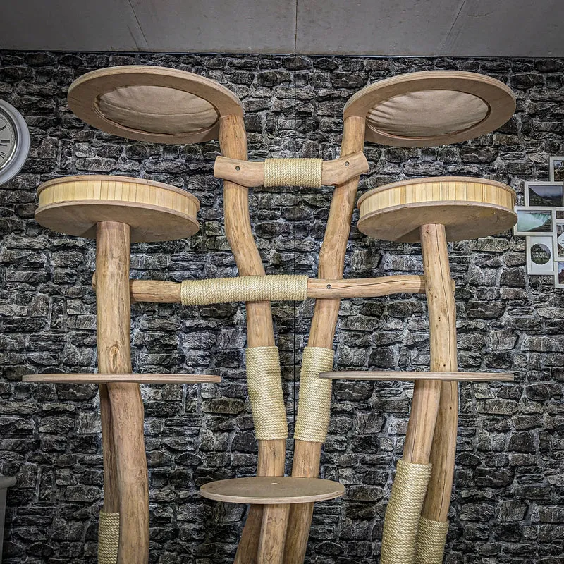 Naturkratzbaum 3707 Kratzbaum Natur Holz Design 207 cm hoch Katzenbaum