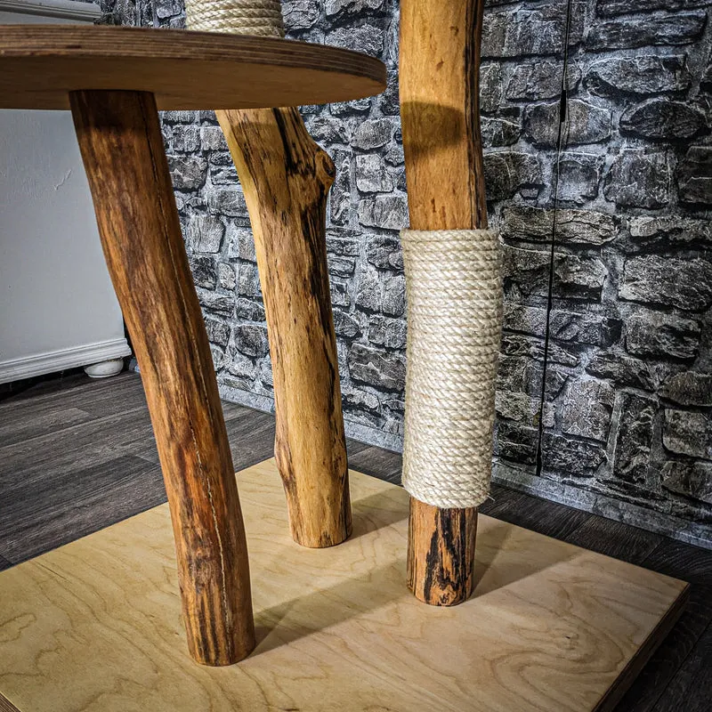 Naturkratzbaum 3693 Kratzbaum Natur Holz Design 115 cm hoch Katzenbaum