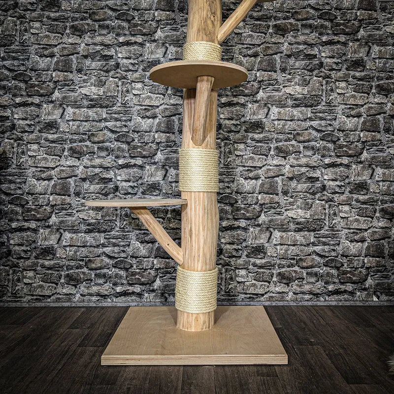 Naturkratzbaum 3689 Kratzbaum Natur Holz Design 185 cm hoch Katzenbaum