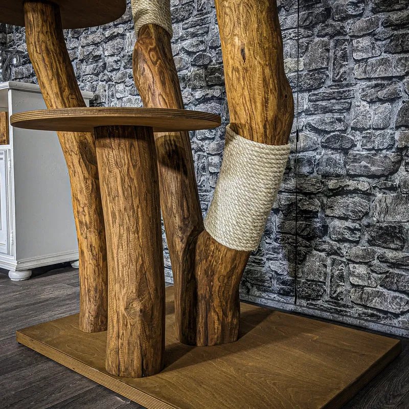 Outdoor Naturkratzbaum 3688 Kratzbaum Natur Holz Design 190 cm hoch Katzenbaum