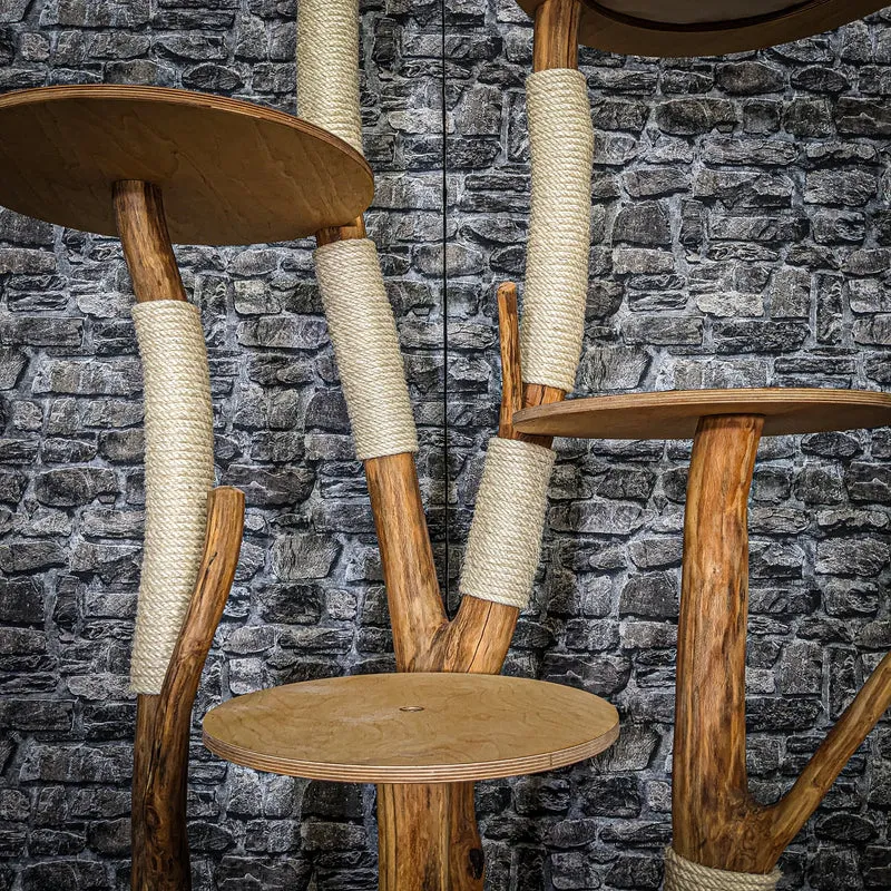 Naturkratzbaum 3687 Kratzbaum Natur Holz Design 175 cm hoch Katzenbaum