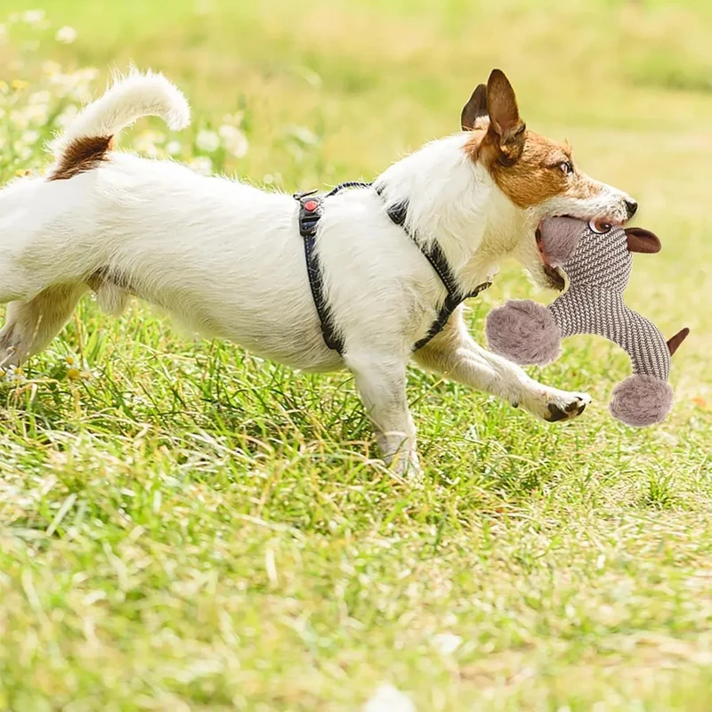 Large Squeaky Stuffed Animals Dog Plush Chew Toys