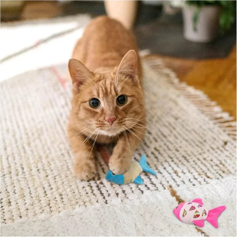 Small Plush PP Cotton Cat Fish Toys