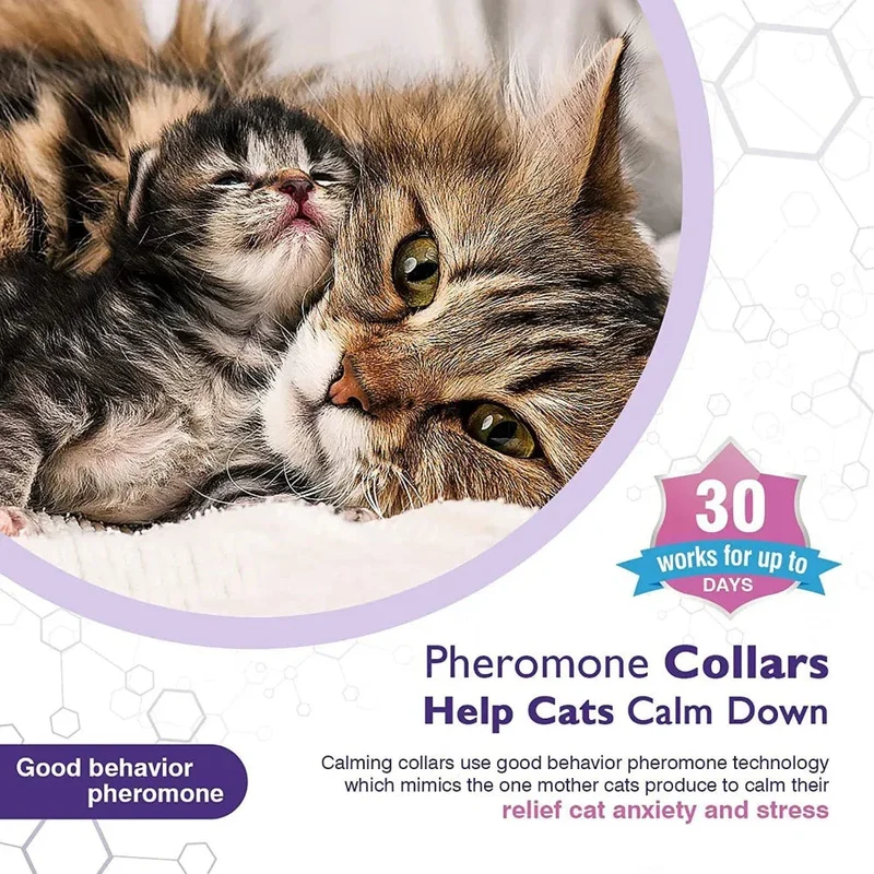 Pet Calm Comfort Relieve Anxiety Cat Collar