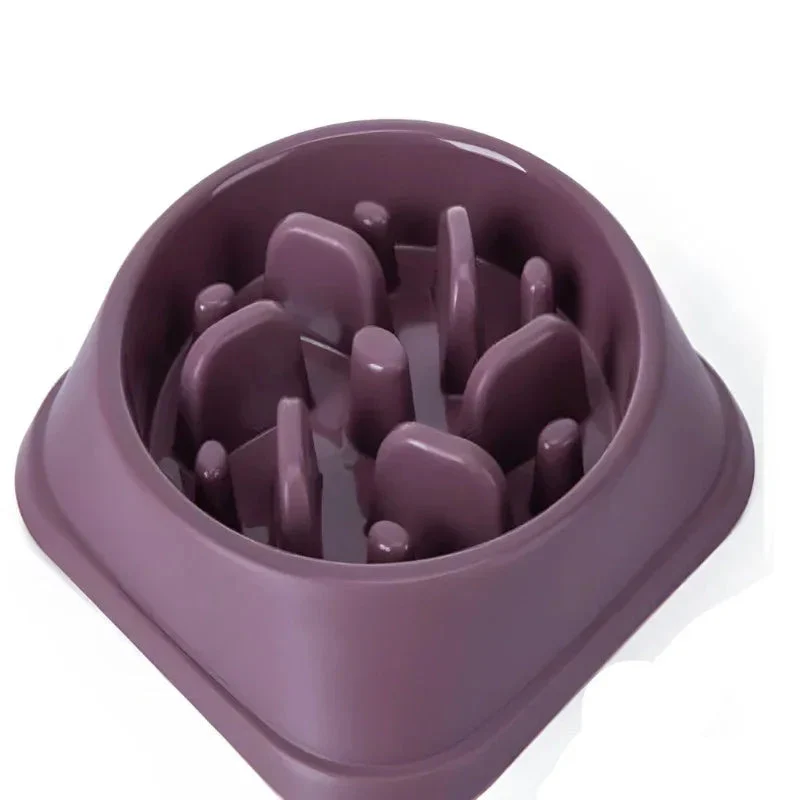Slow Anti-choke Anti-Skid Feeding Dog Bowl