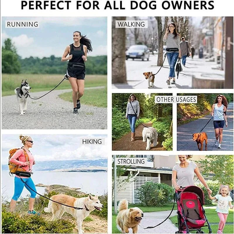 Pet Handsfree Dog Leash And Waistbag