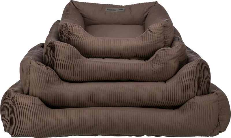Bett Marley