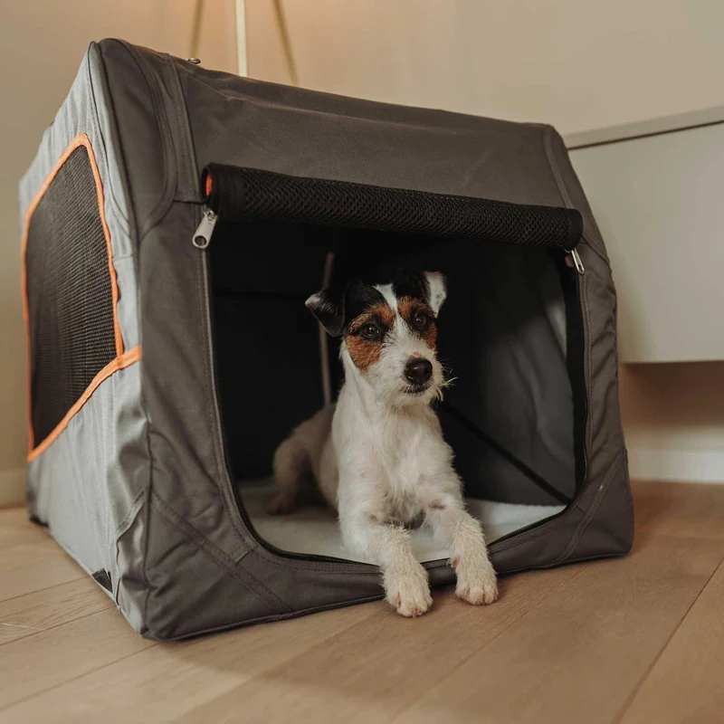 Faltbare Hundebox mit Aluminium-Gestell