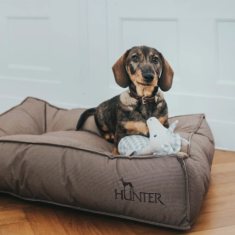 Hunde-Steppbett Lancaster
