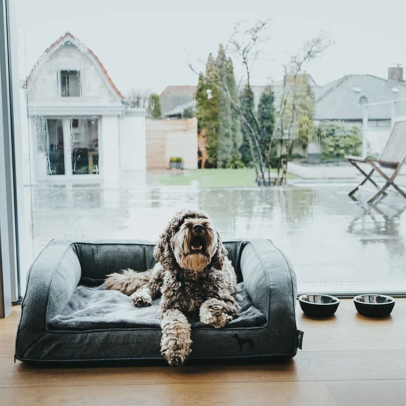 Orthopädisches/Ergonomisches Hundesofa Livingston