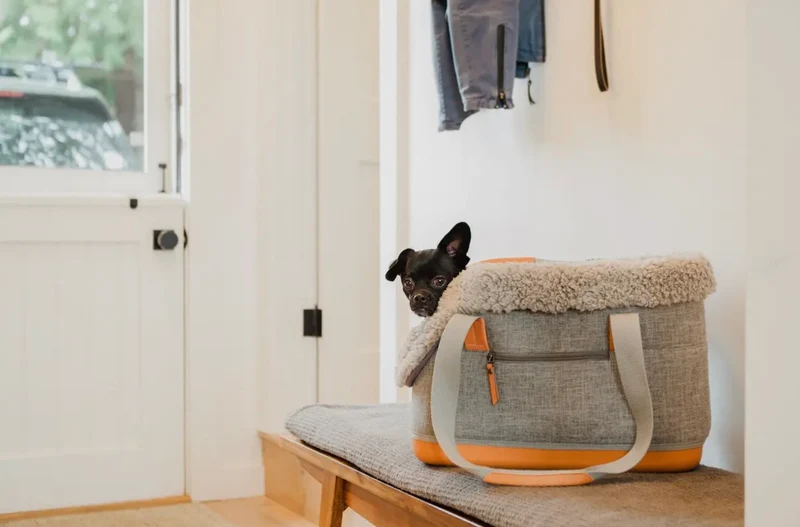 Graue Hundetasche mit Fell