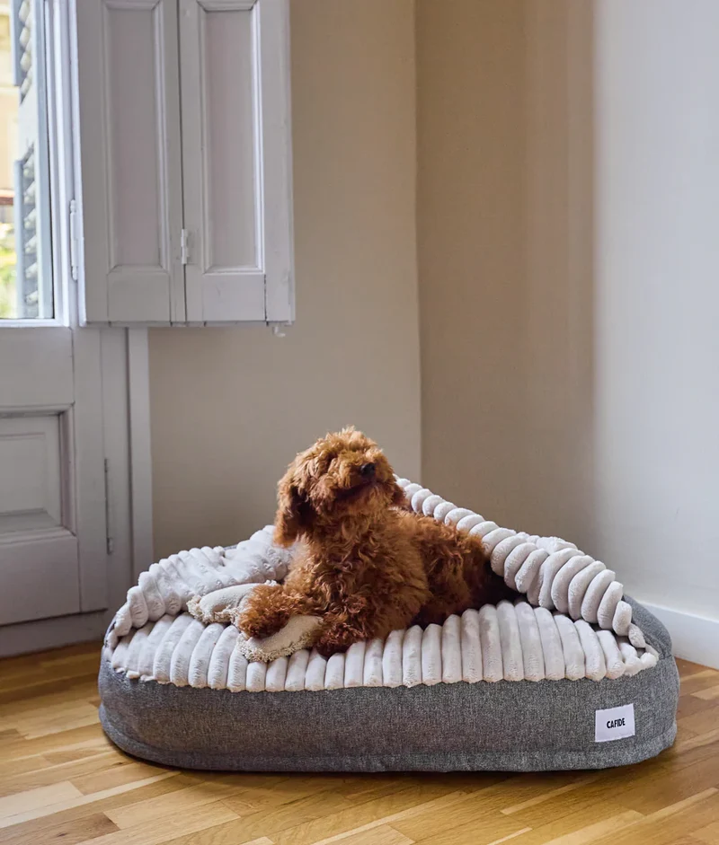 Hundebett mit Kapuze Grau