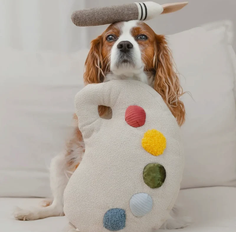 Hundespielzeug Farbpaletten-Set