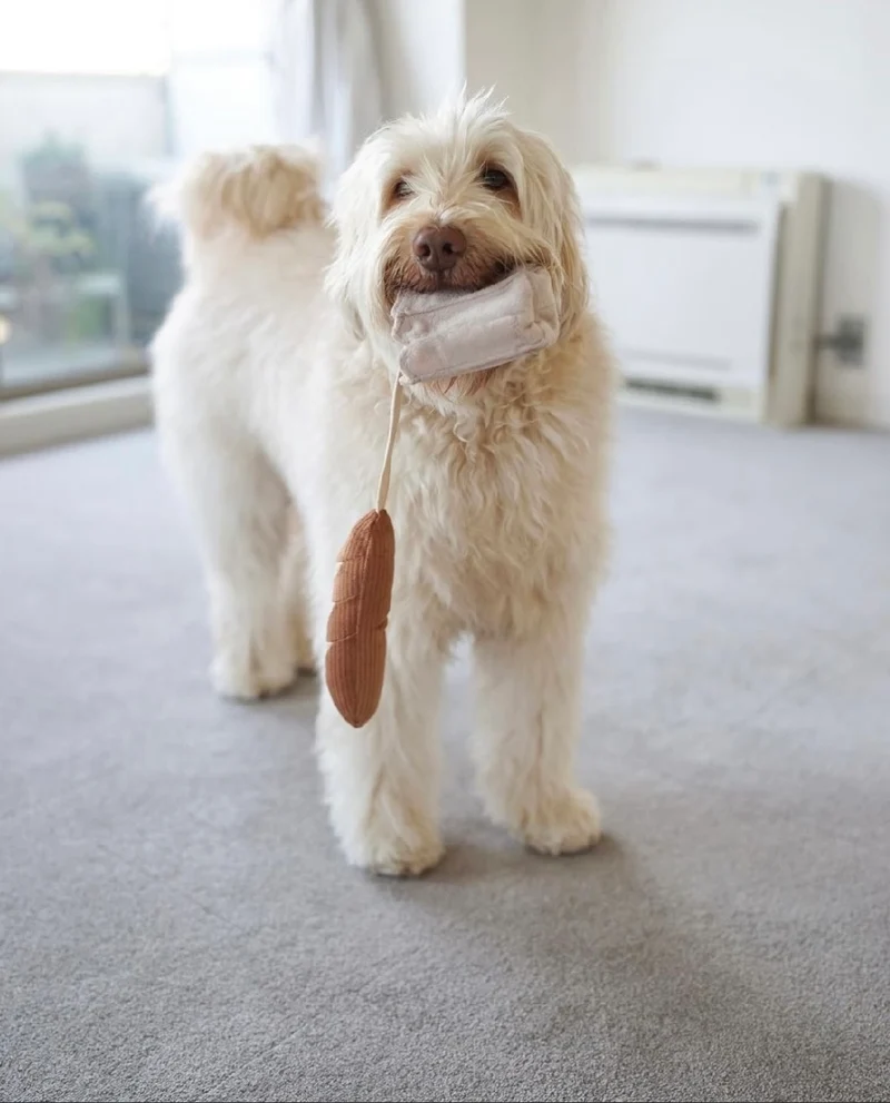 Hundespielzeug Mini-Baguette