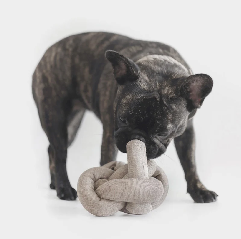 Hundespielzeug Knoten